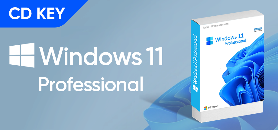 Windows 11 Professional CD Key 10256