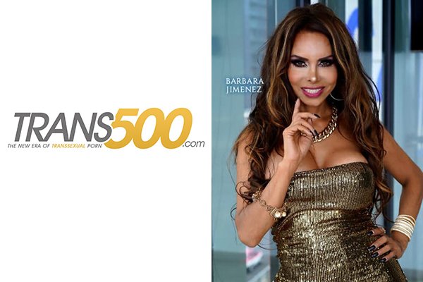 trans 500 logo copy